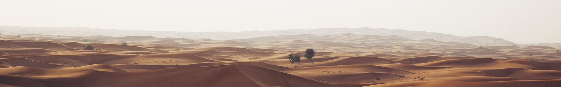 ضҵ޹˾
